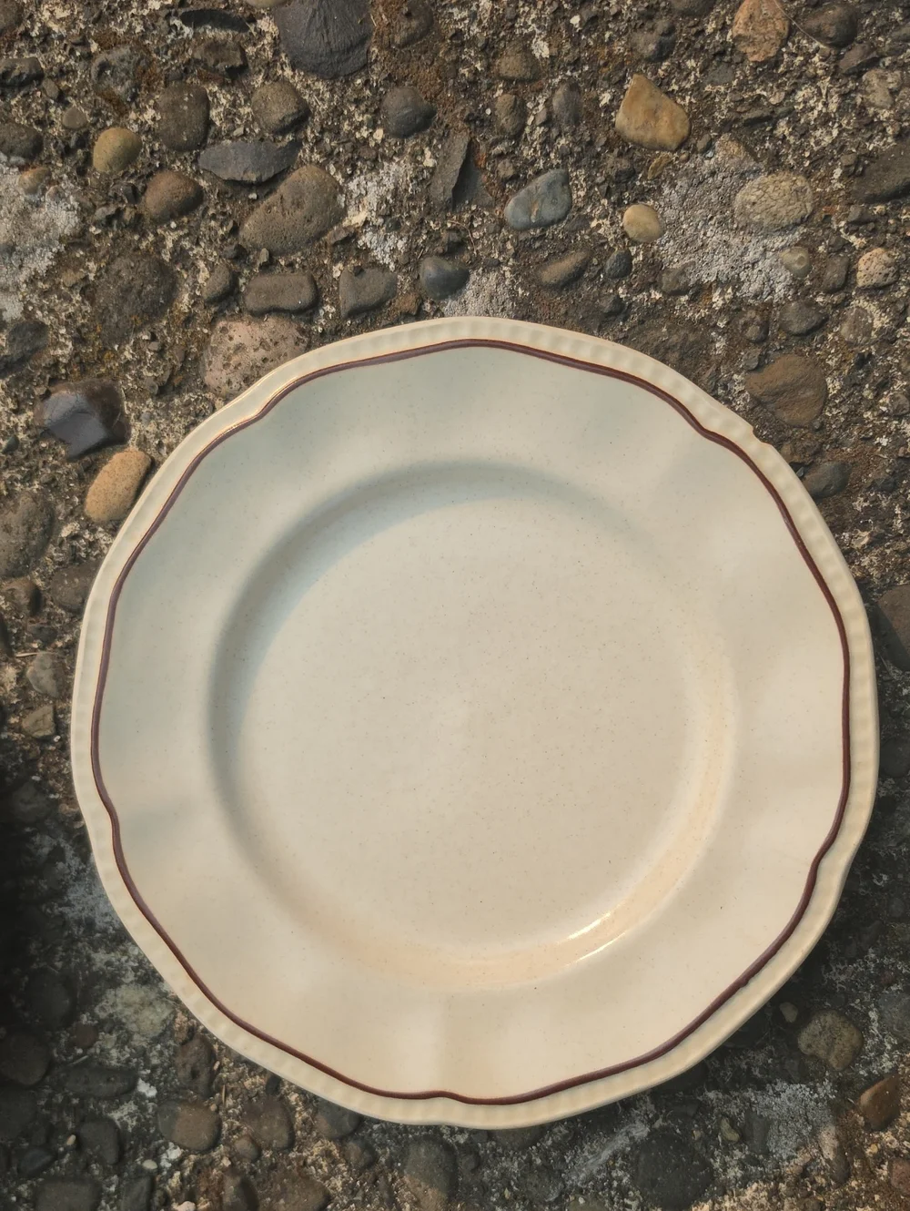 Cream Scalloped Dinner Plate with Brown Trim
